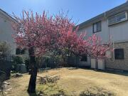 フラッツ目白 402号室メイン画像