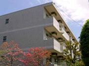 フラッツ目白 403号室メイン画像