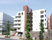 目白アビタシオン 2Fメイン画像