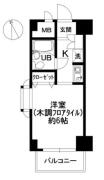 日神パレステージ目白 901号室間取り画像